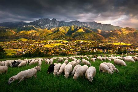 Krakow to Zakopane Tour with Cable Car Ride, Vodka & Chesse