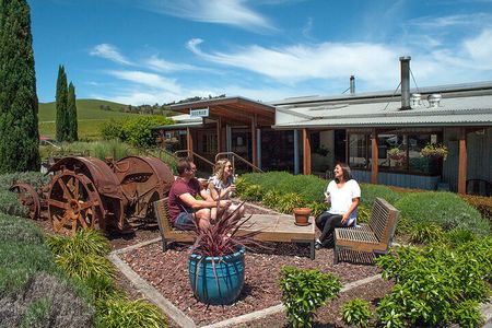 Yarra Valley Winery Tour from Melbourne - Lunch included