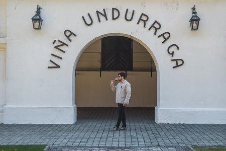 Half day Santa Rita and Undurraga Winery Tasting Tour in Santiago