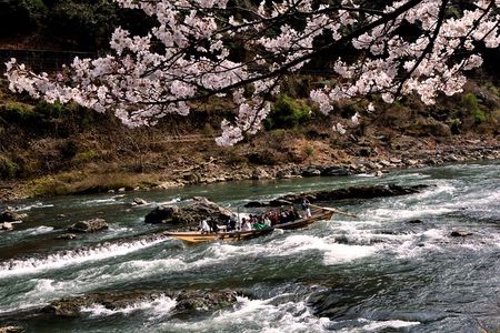 Kyoto Bus Tour: Sagano Railway & Hozugawa River Boat Ride