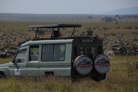 8 Days Explore Serengeti Great Wildebeest Migration Tour