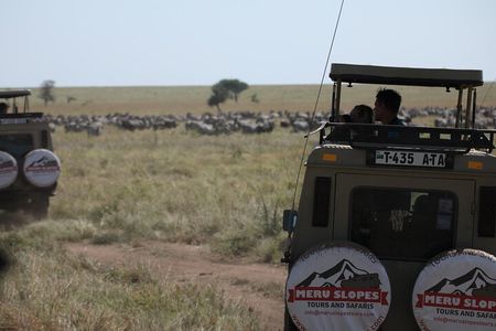 8 Day Mid Range Serengeti Wildebeests Migration Tour
