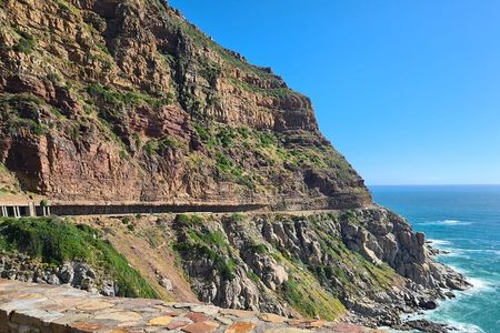 From CapeTown:TableMountain,Penguins &Wine Testing in Constantia 
