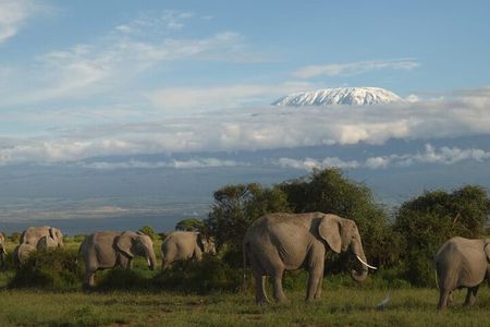 3 Day Exploring Amboseli National Park