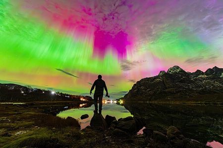 Lofoten Ultimate Aurora Hunt