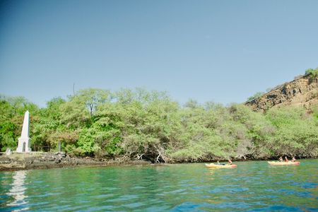 Midday Meander - Kealakekua Bay Kayak and Snorkel Adventure