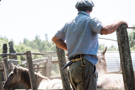 Three Days Tour In A Traditional Ranch Estancia La Pilona 