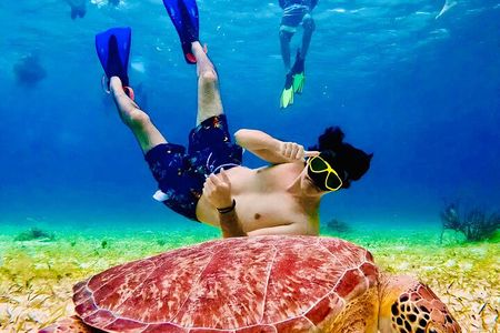 Snorkel Xperience & All Inclusive Beach Club Day