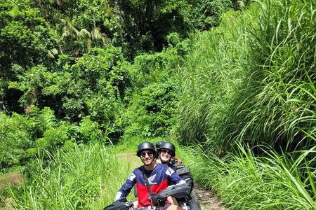 ATV Tour: Eco Friendly Scenic Bellwood Layou Rainforest 