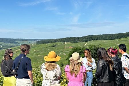 Reims: Small-Group Champagne Tour with Champagne Tastings and Lunch 