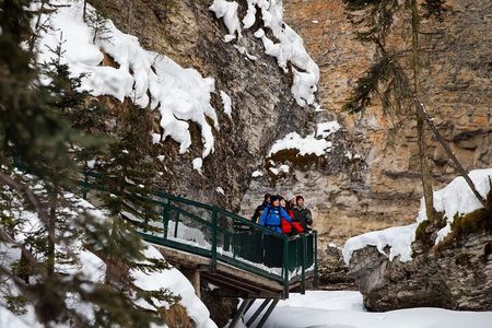 Shared Tour in Lake Louise Emerald lake & Johnston Canyon & More!