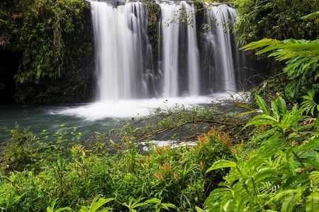 Private Road to Hana Rainforest & Waterfall Experience from Maui 