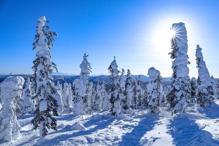 Arctic Circle Day Tour Adventure