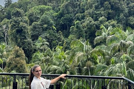 Tamborine Explorer from Gold Coast 
