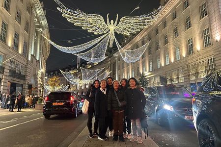 London Christmas Lights Private Black Cab Tour with Hotel Pick Up