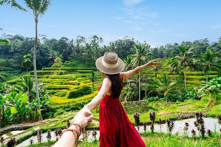 Full Day In Ubud With Private Tour