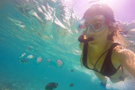 Experience the Magic of Mnemba: Half-Day Dolphin & Snorkeling