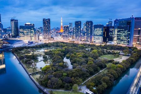 Customizable Private Tokyo Tour with an English-speaking Driver 