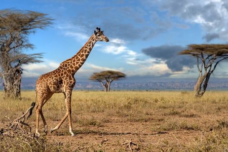 5 Days Mid-Range Group Safari with Accommodation 