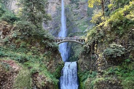 Multnomah Falls and Columbia Gorge Tour From Portland