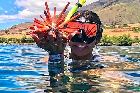 Unlimited Guided Snorkeling Tour for Beginners Plus