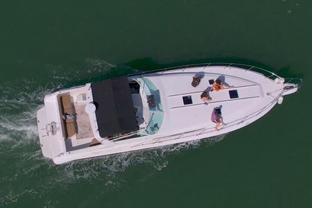 Private Yacht 46ft Sea Ray Snorkel up to 15 pax 23P2