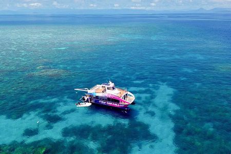 Half Day Great Barrier Reef Snorkeling Trip
