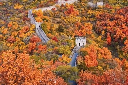 Mutianyu Great Wall and Forbidden City Private Tour with Lunch