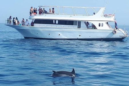 Dolphin House Snorkeling Sea Trip With Transfers – Marsa Alam