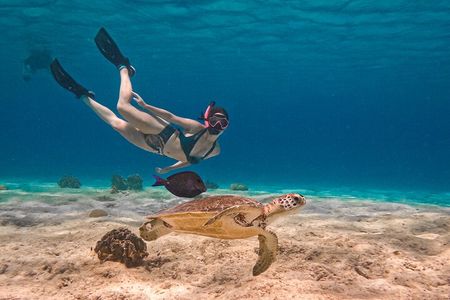VIP Private Snorkeling Tour