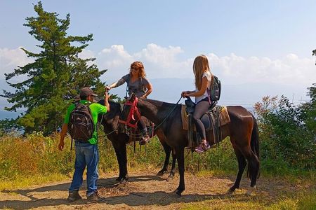 Horseback Riding Tour in San Pedro La Laguna