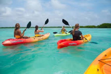 Guided Kayak Tour from Margaritaville
