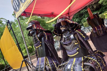 Sendai Castle Armor Experience