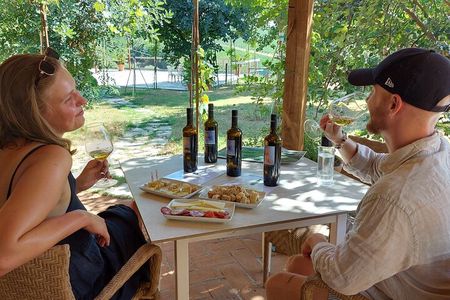 Biodynamic Wine Tasting with Producer in Vinci