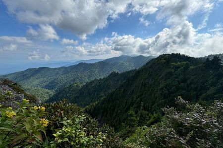 Best of the Smokies Custom Private Tour