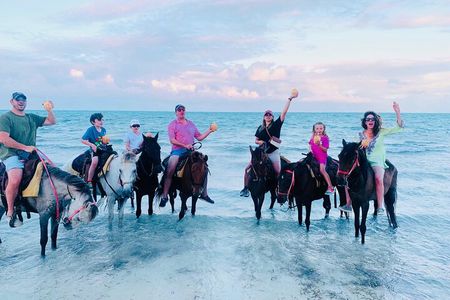 Small Group Horseback Riding Adventure in Caicos Islands