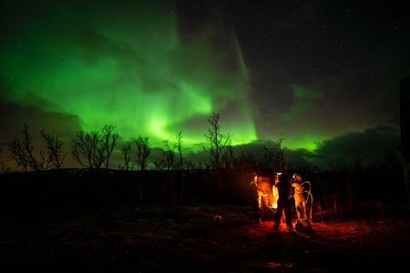 Northern light hunt in Tromsø. WiFi included