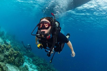 private Boat Dive charter Marine Park, incl. guide, all Equipment