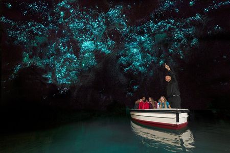 Auckland to Rotorua via Waitomo Caves One-Way Private Tour