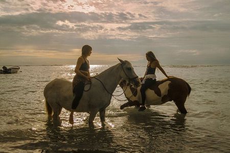 Costa Rica Horseback Riding Experience