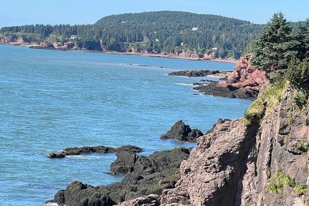 Top 10 Highlights & Bay of Fundy (Shared tour) in Saint John, NB