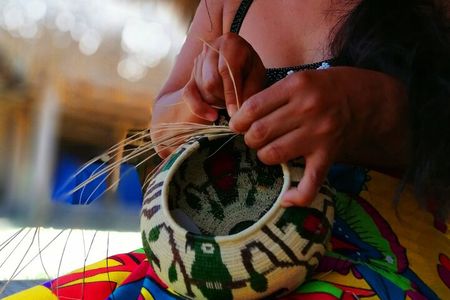 Beautiful Panama Wounaan Village Tour