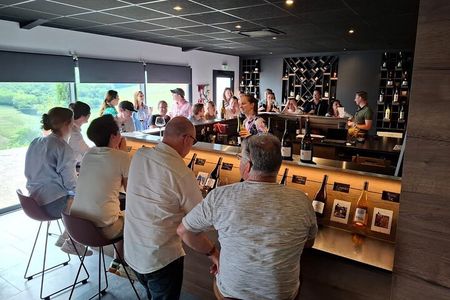 Beaujolais Half Day Wine Tasting Tour