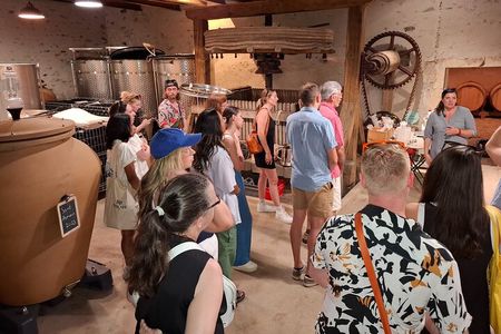 Beaujolais Half Day Wine Tasting Tour