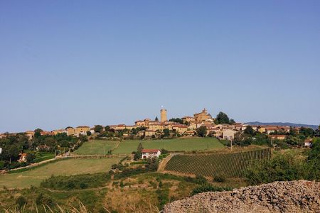 Golden stones Beaujolais Wine Tour with Tastings from Lyon