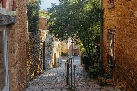 Golden stones Beaujolais Wine Tour with Tastings from Lyon