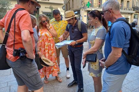 Avignon Walking Tour including Pope's Palace