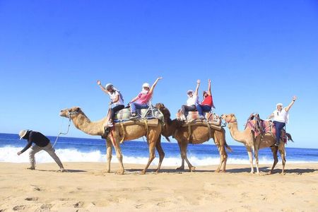 Discover Cabo San Lucas by camel ride