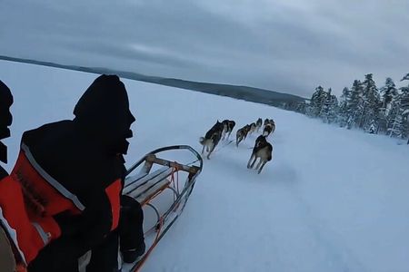 Alaska Dog Sled or ATV Ride in Fairbanks