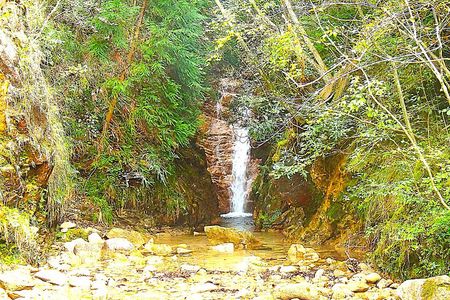  Private Historic Road Hike in the Healing Forest of Arima